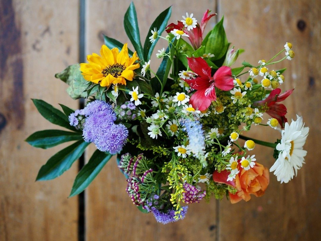 Färgstark bukett med solros, prästkragar och vilda blommor